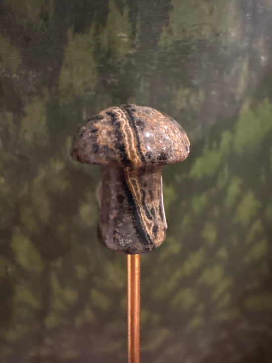 3/2 Mini Mushy Jasper