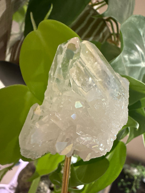 MG Angel Aura cluster
