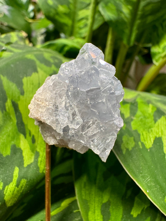 8/11 Mini Celestite