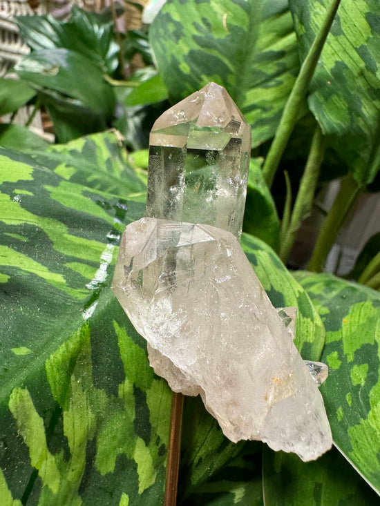 8/11 Clear Quartz