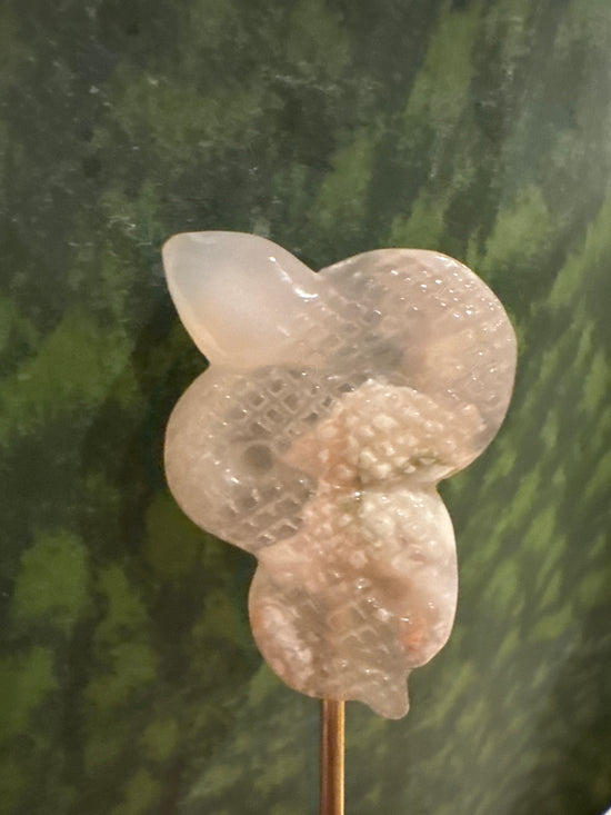 3/30 flower agate snake