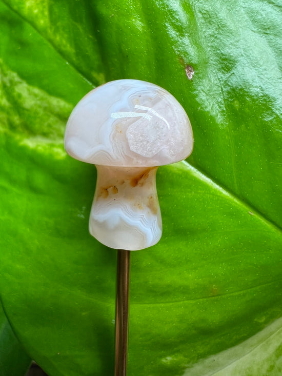 B* Flower Agate Mini Mushroom Plant Crystal