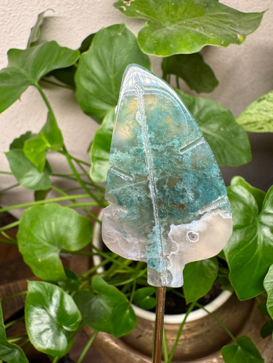 4/21 Moss Agate Leaf