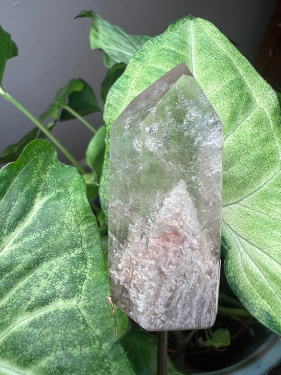 9/17 Garden Quartz Plant Crystal