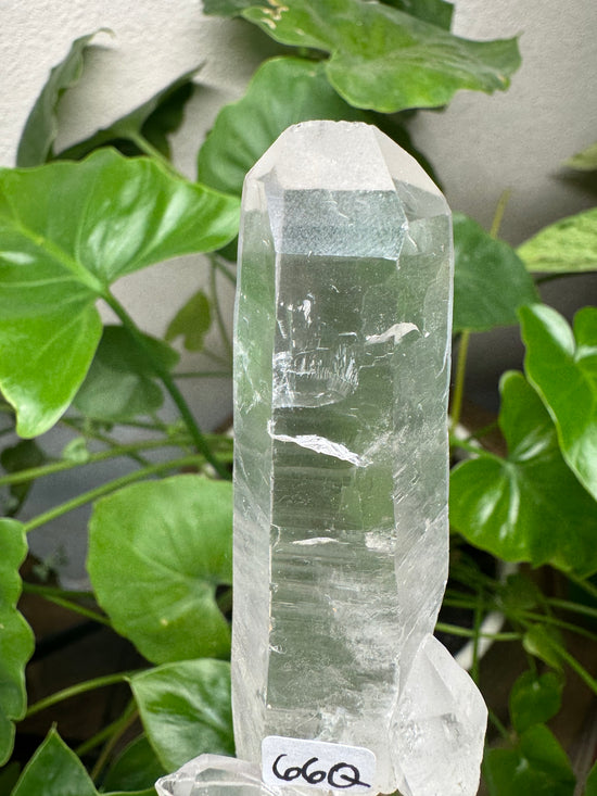 4/4 Lemurian Quartz