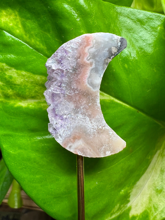 Mini Pink Amethyst Moon Plant Crystal