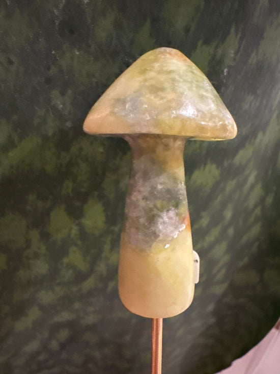 3/23 Mushroom