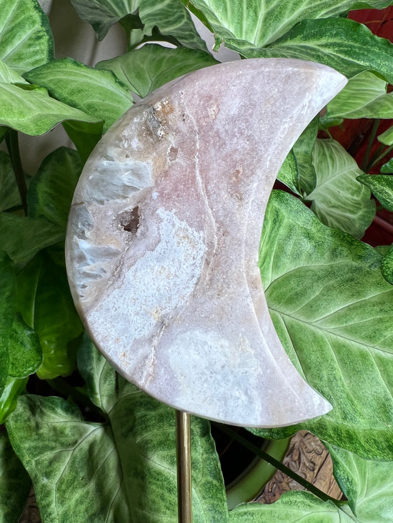 8/27 Premium Pink Amethyst Moon Plant Crystal