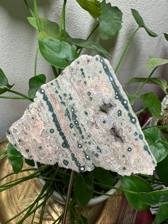 8/29 Ocean Jasper Flower Agate Slab