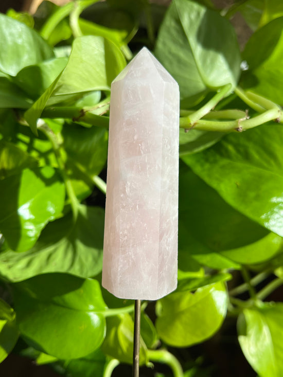 Pampered Rose Quartz Tower Plant Crystal