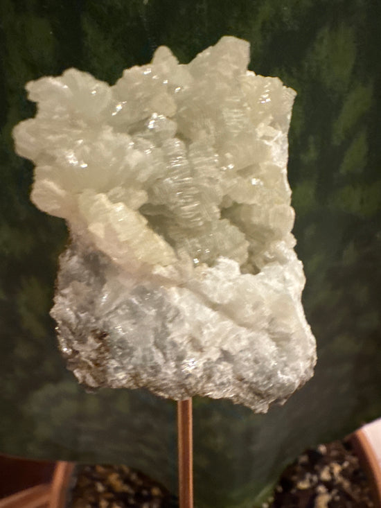 3/2 Prehnite