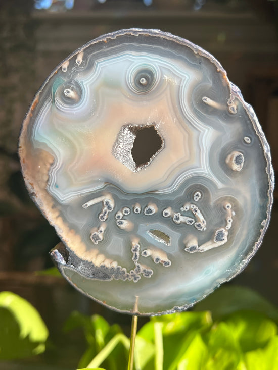 Archipelago Agate Plant Crystal