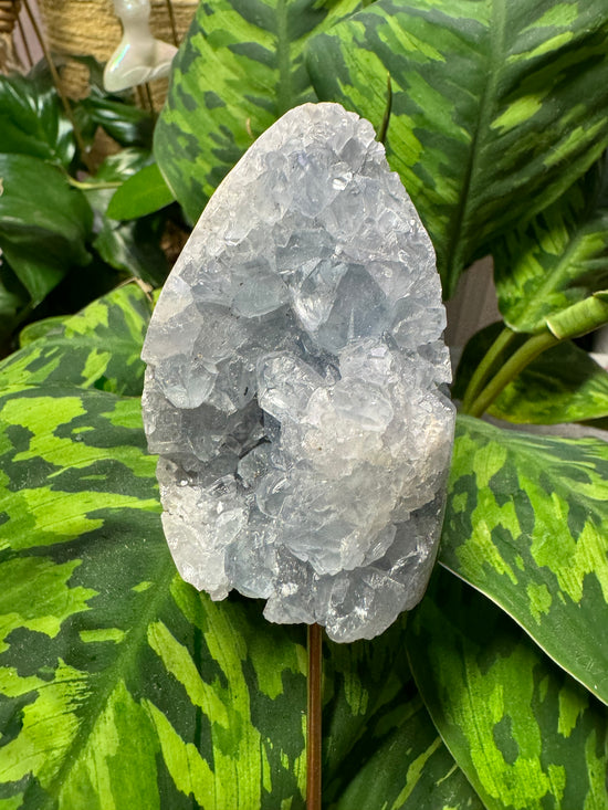 8/11 Celestite