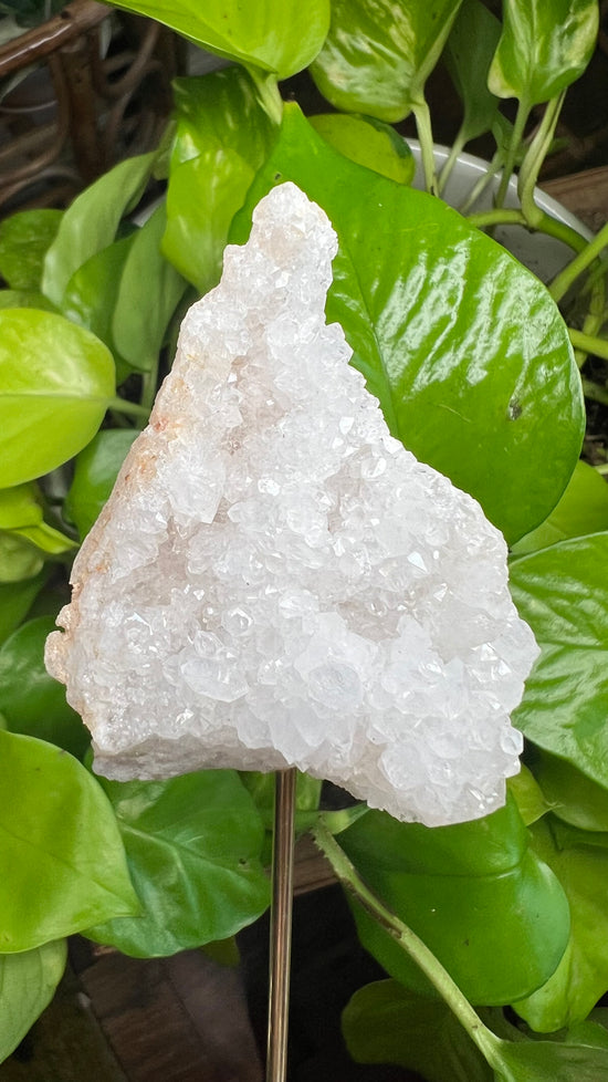 Dream Cloud Moroccan Geode Plant Crystal