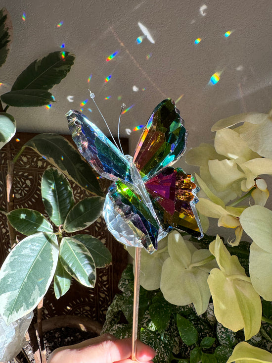 Vibrant Rainbow Butterfly Plant Crystal Suncatcher