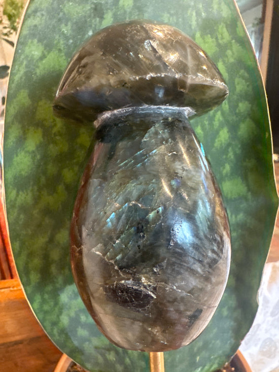 5/11 Labradorite Mushroom