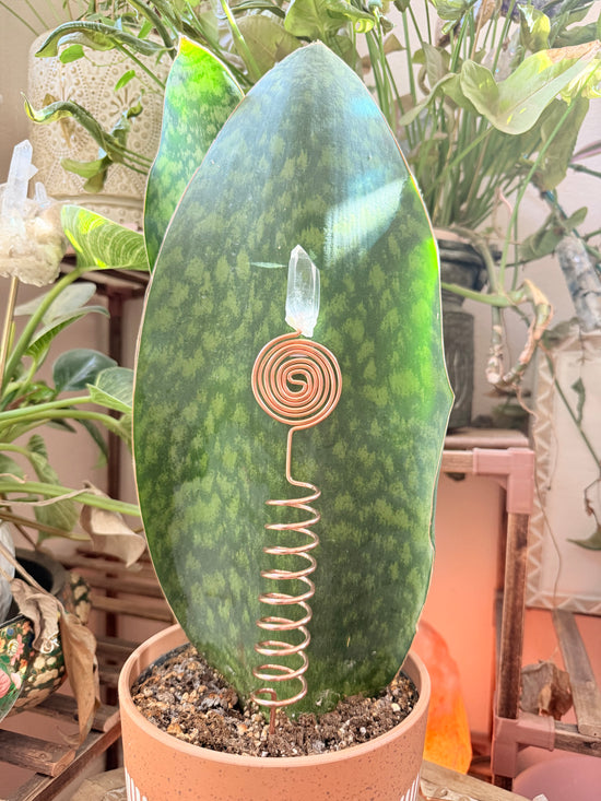 Lemurian Quartz with Copper Tesla Coil