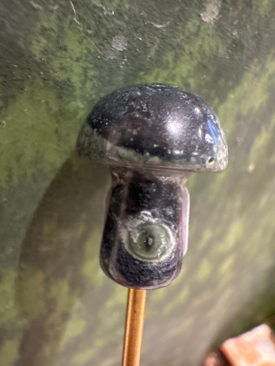 4/18 Mini Mushy eye