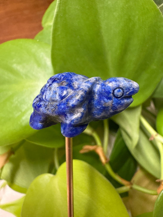Abi Lapis Lazuli Turtle Mini