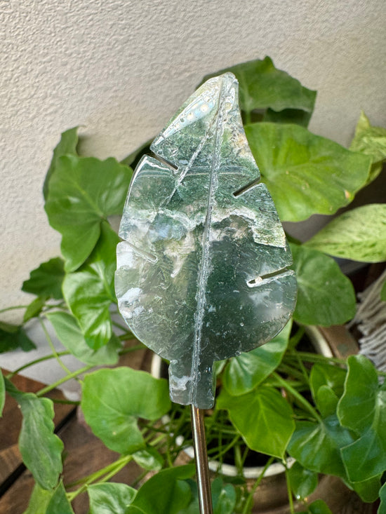 5/5 Moss Agate Leaf