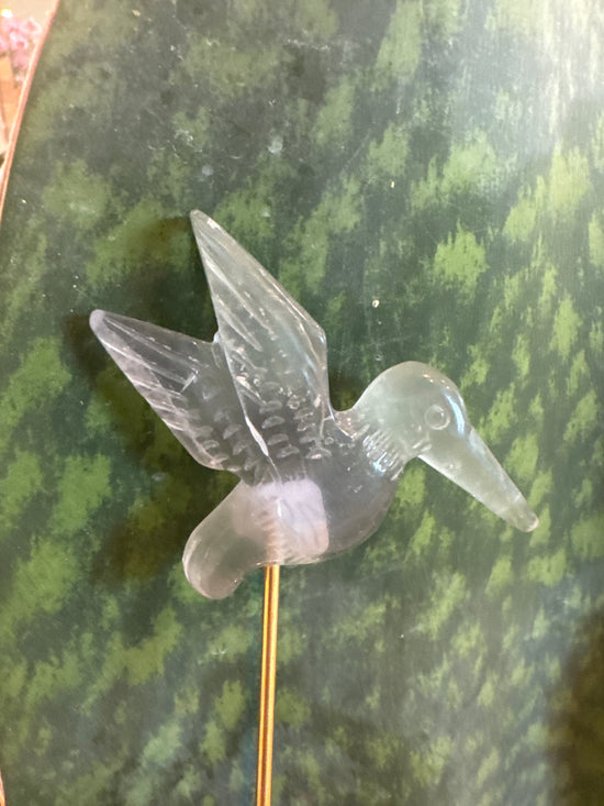 5/11 hummingbird
