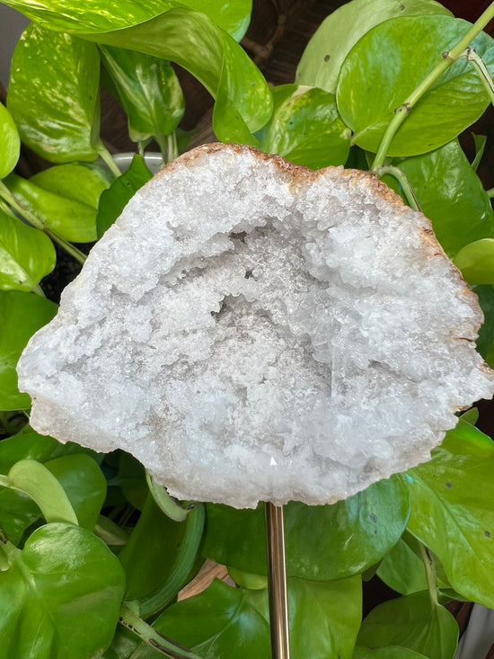 Bliss Cave Moroccan Geode Plant Crystal