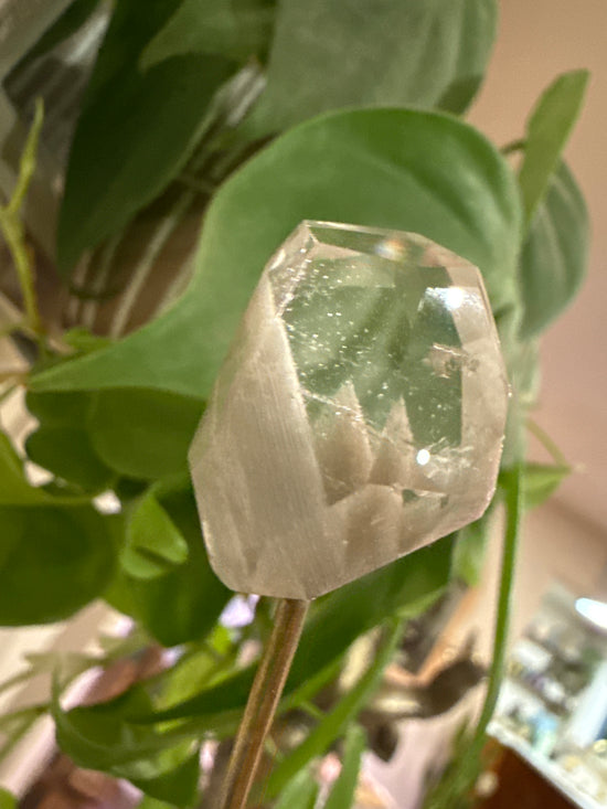 MG Garden Quartz Free form
