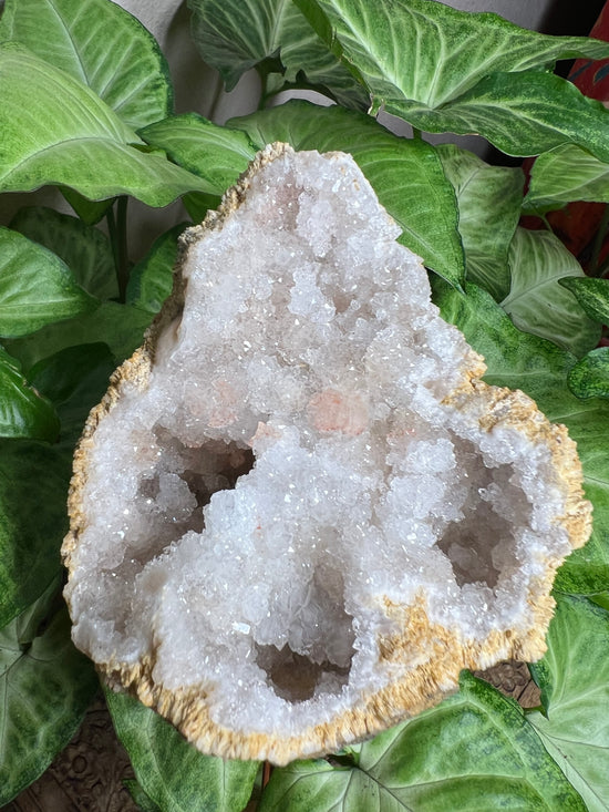 8/27 Moroccan Geode Plant Crystal