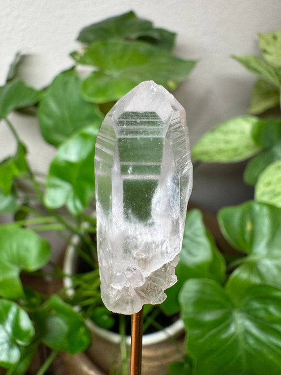 4/21 Mini Quartz