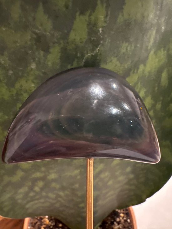 3/23 rainbow obsidian