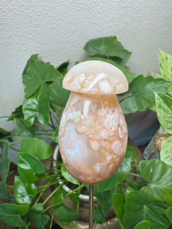 5/16 Flower Agate Mushroom