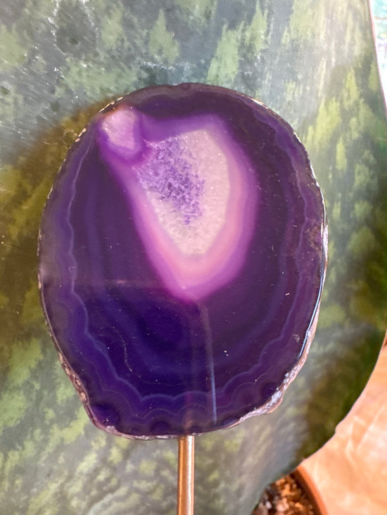 4/20 Purple Agate