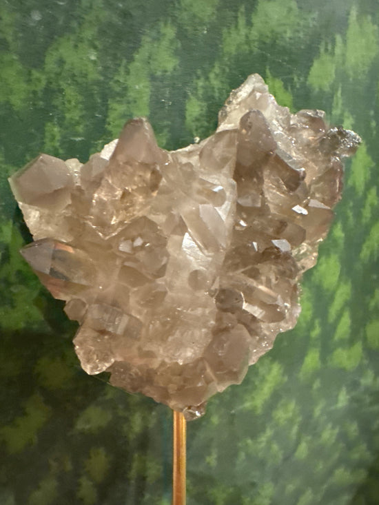 4/20 Smokey cluster