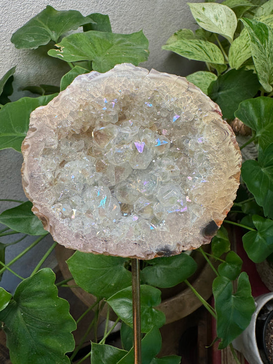 4/7 Large Angel Aura Quartz