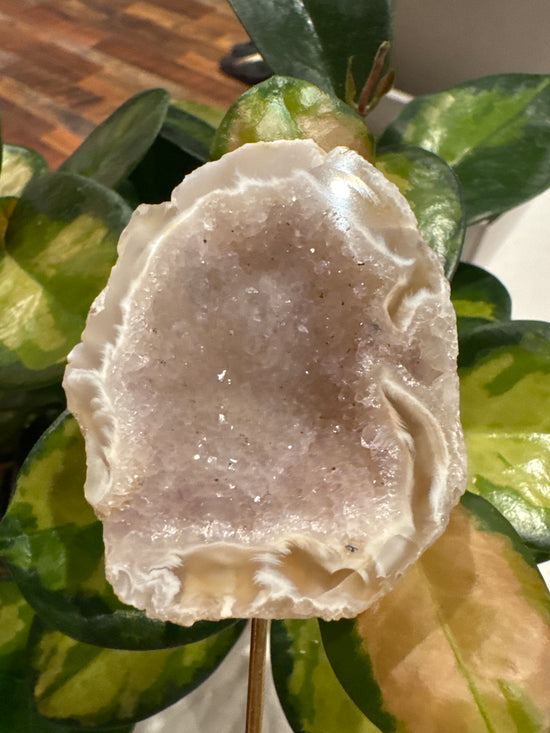 4/11 Amethyst Geode