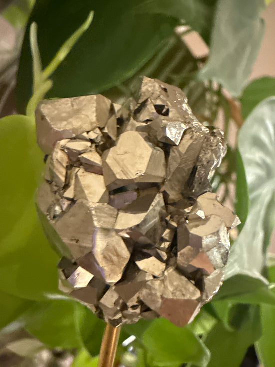 MG Pyrite