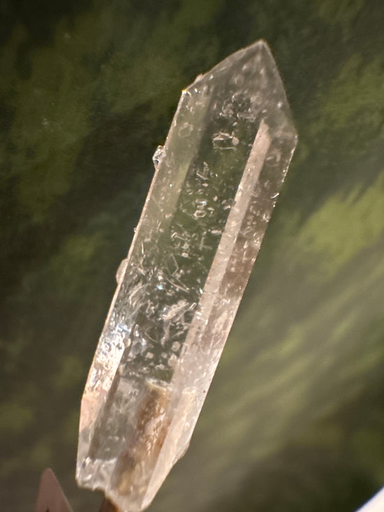 3/23 Mini Lemurian