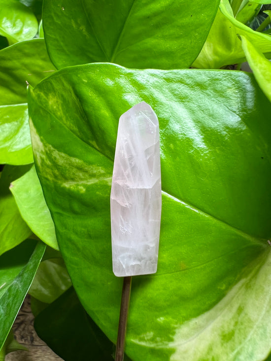 Mini Rose Quartz Polished Plant Crystal