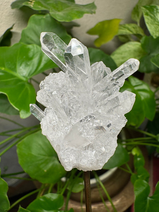 3/28 Clear Quartz Cluster