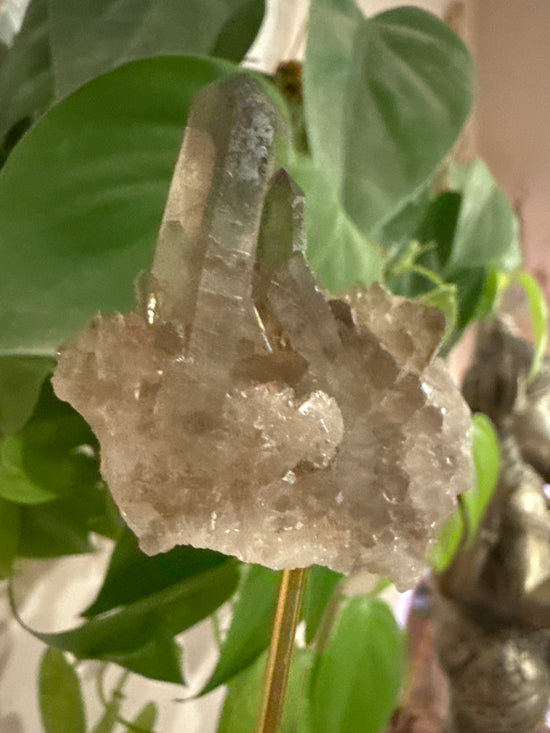 MG Smokey Quartz