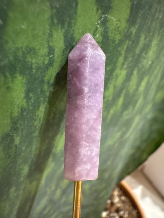 4/18 Mini lepidolite