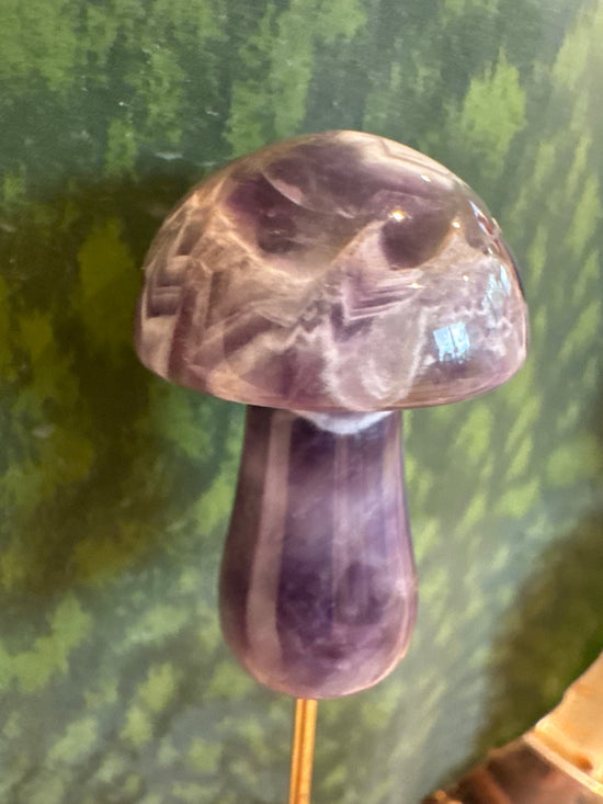 5/11 Mushroom amethyst