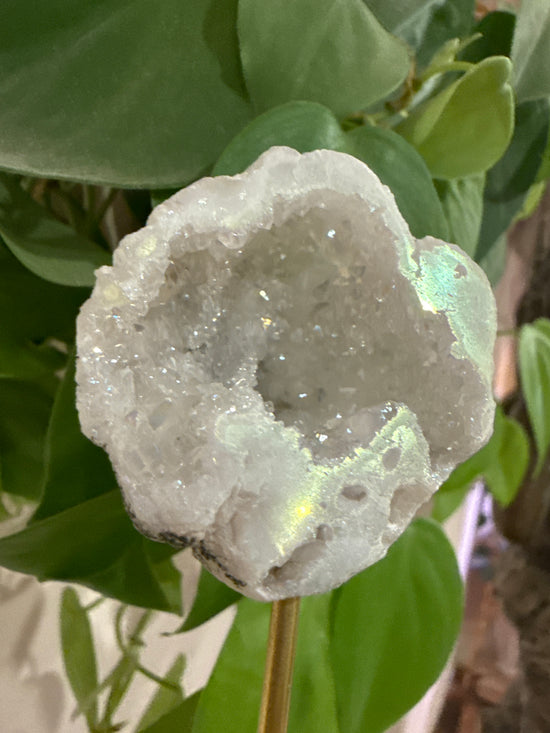 MG Angel Aura