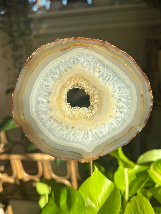 Golden Lotus Large Agate Plant Crystal