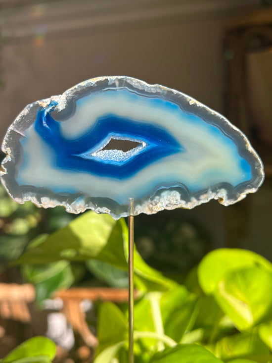 Spring Blue Agate Plant Crystal