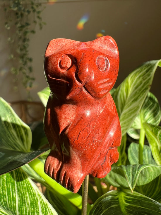 Red Jasper Cat Plant Crystal