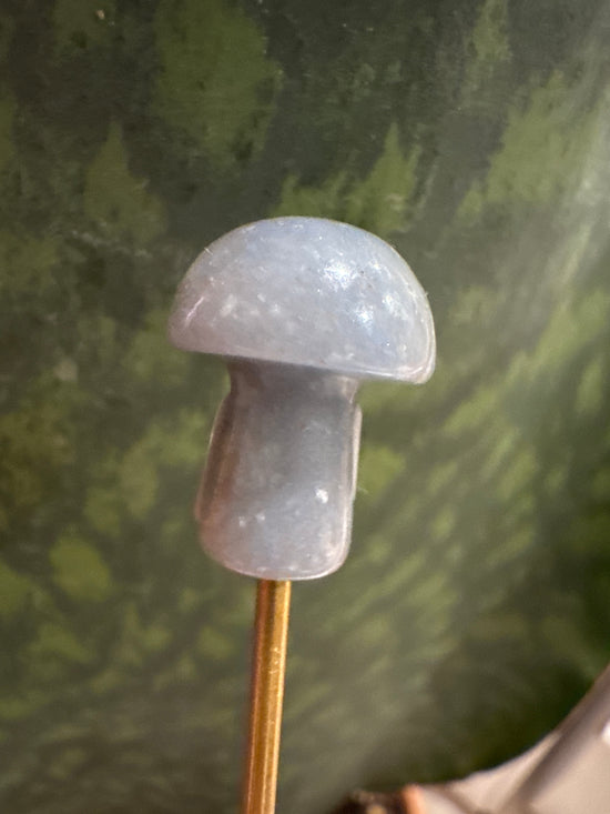 3/23 Mini Celestite Mushroom