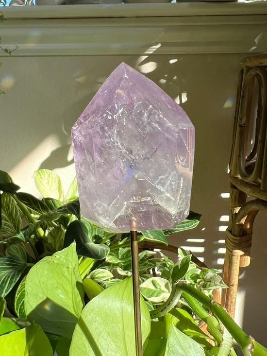 Perspective Large Amethyst Point Plant Crystal