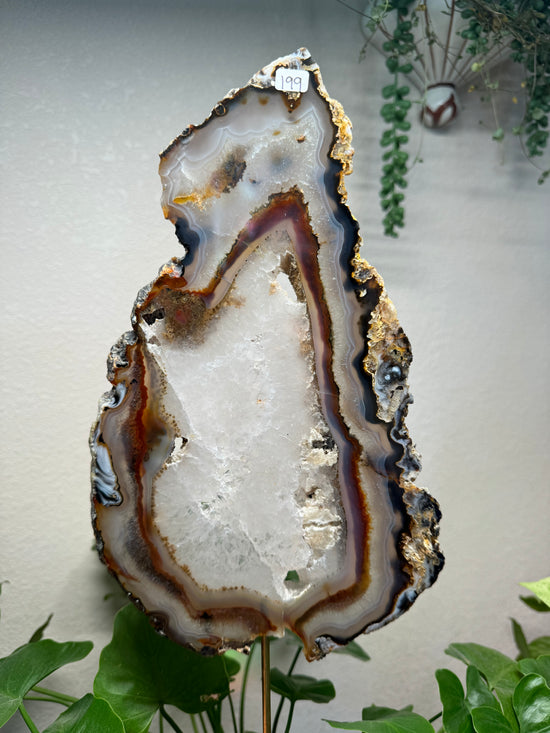 XXL Agate