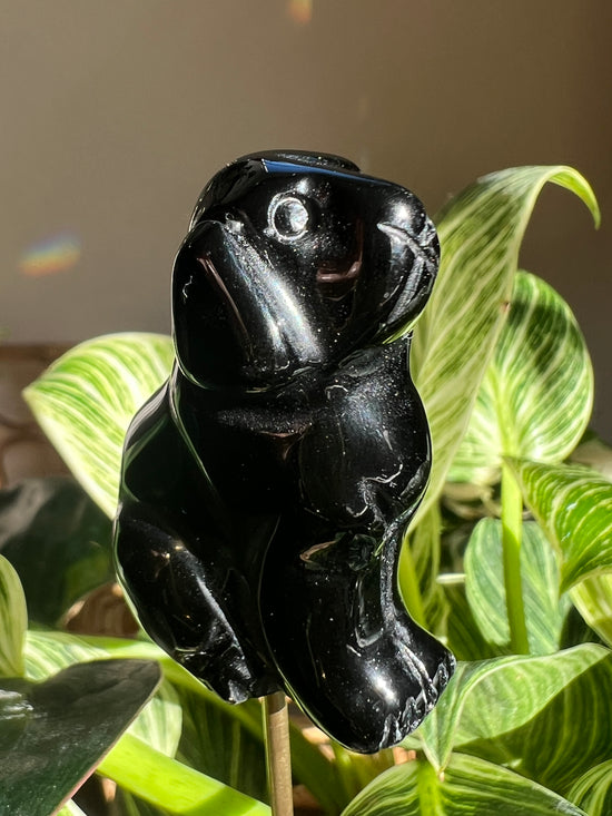 Fido Black Obsidian Plant Crystal